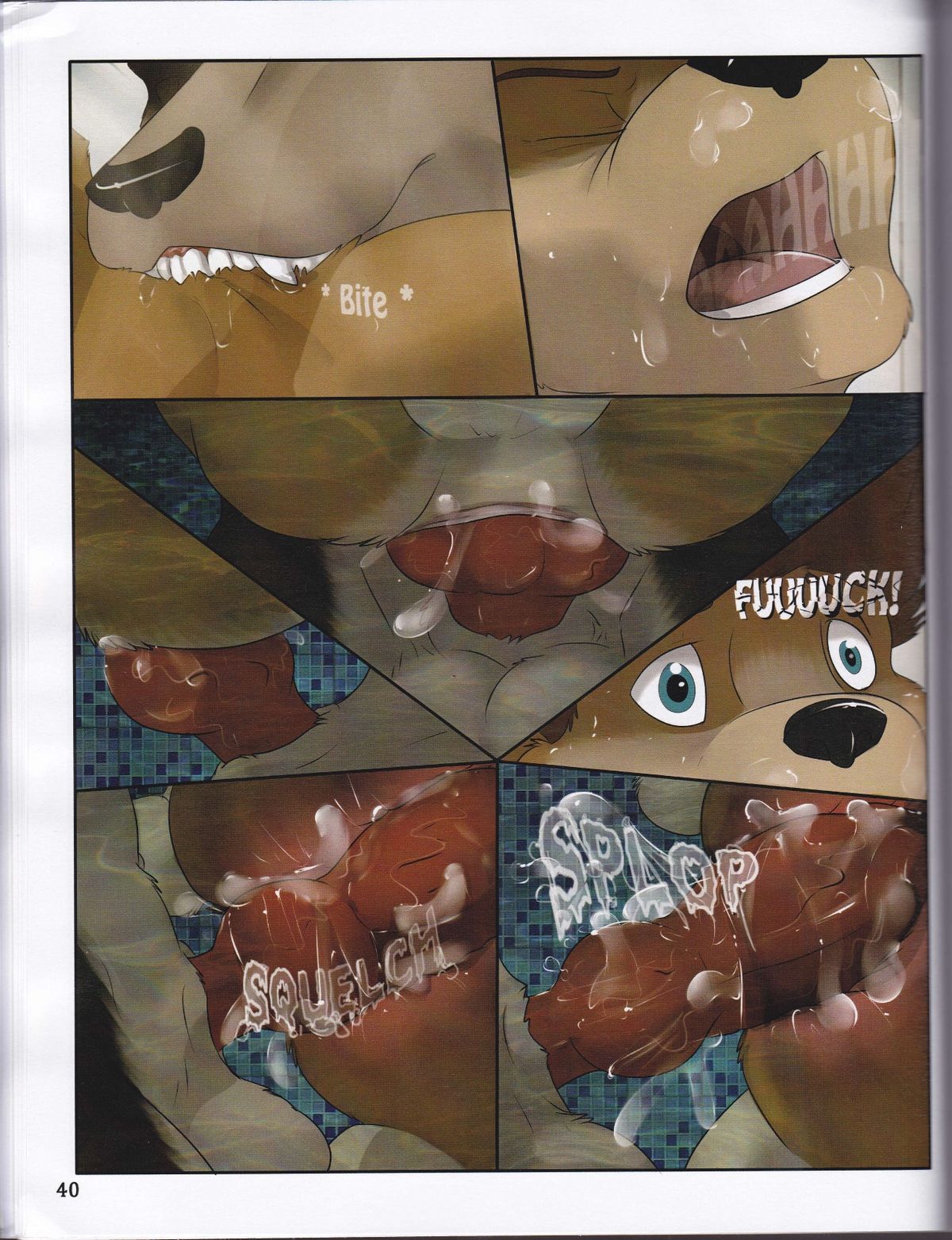 Page 41